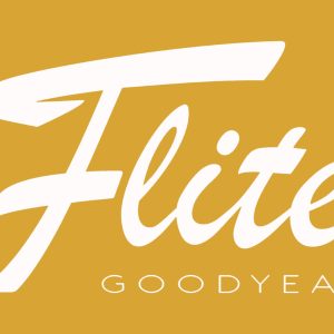 my flight logo gold white.jpg